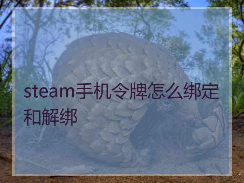 steam手机令牌怎么绑定和解绑