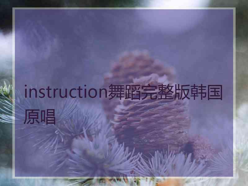 instruction舞蹈完整版韩国原唱