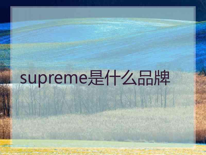 supreme是什么品牌