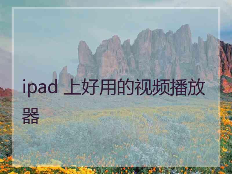 ipad 上好用的视频播放器