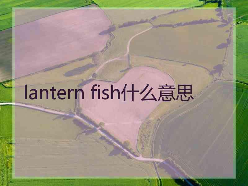 lantern fish什么意思