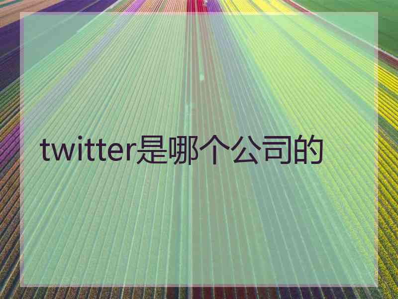 twitter是哪个公司的