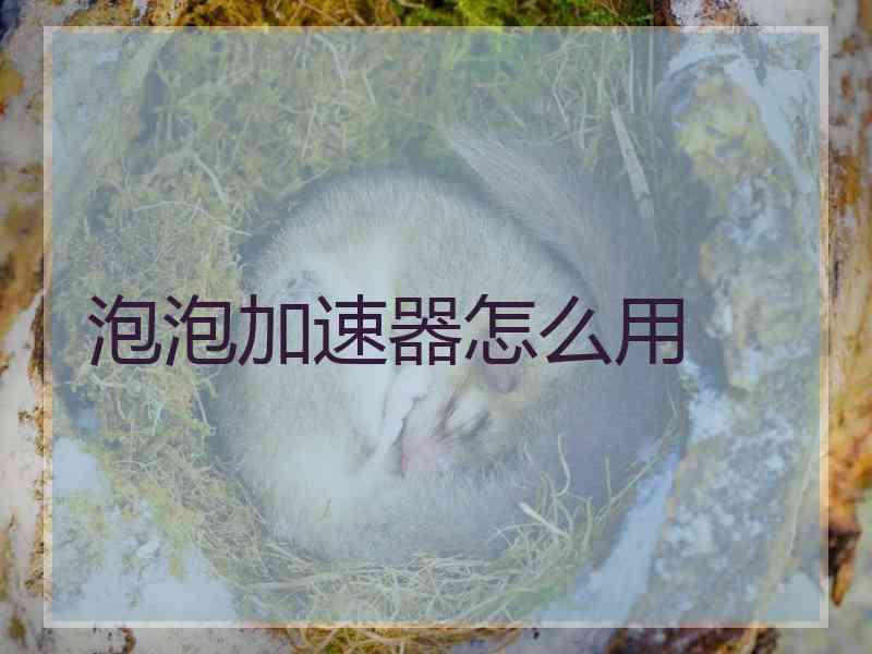 泡泡加速器怎么用