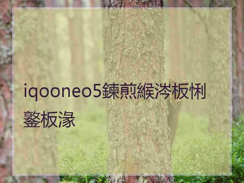 iqooneo5鍊煎緱涔板悧鐜板湪