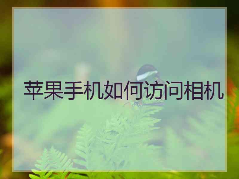 苹果手机如何访问相机