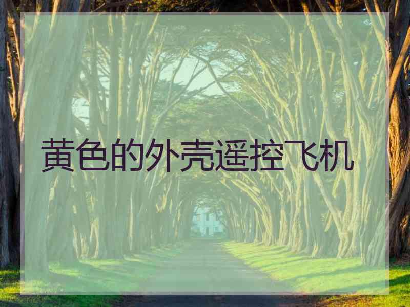 黄色的外壳遥控飞机