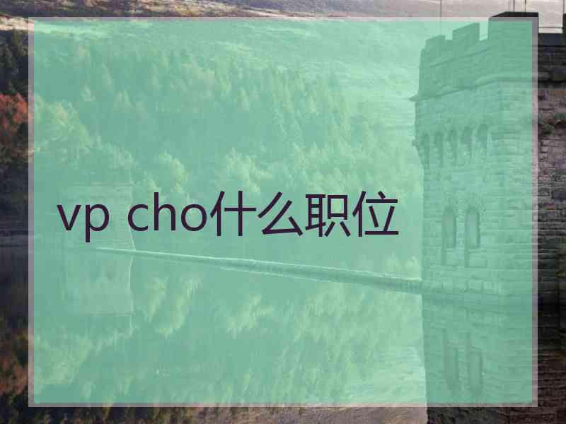 vp cho什么职位