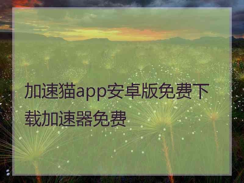 加速猫app安卓版免费下载加速器免费