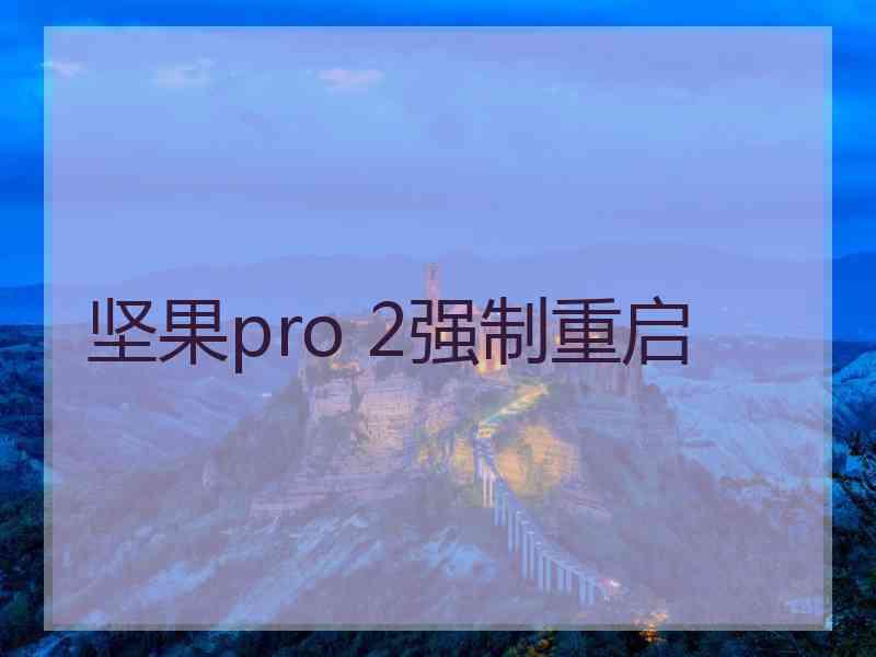 坚果pro 2强制重启