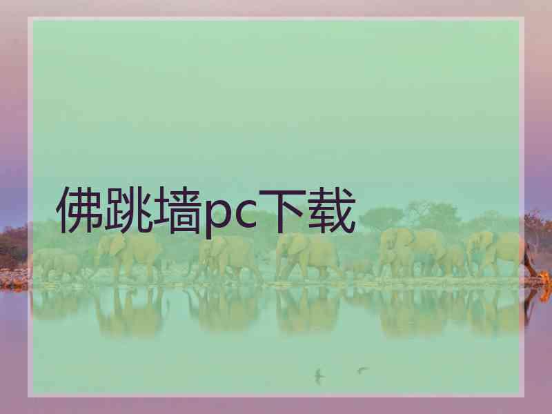 佛跳墙pc下载