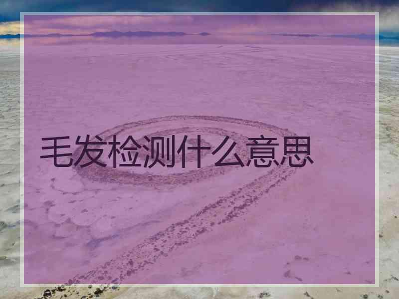 毛发检测什么意思