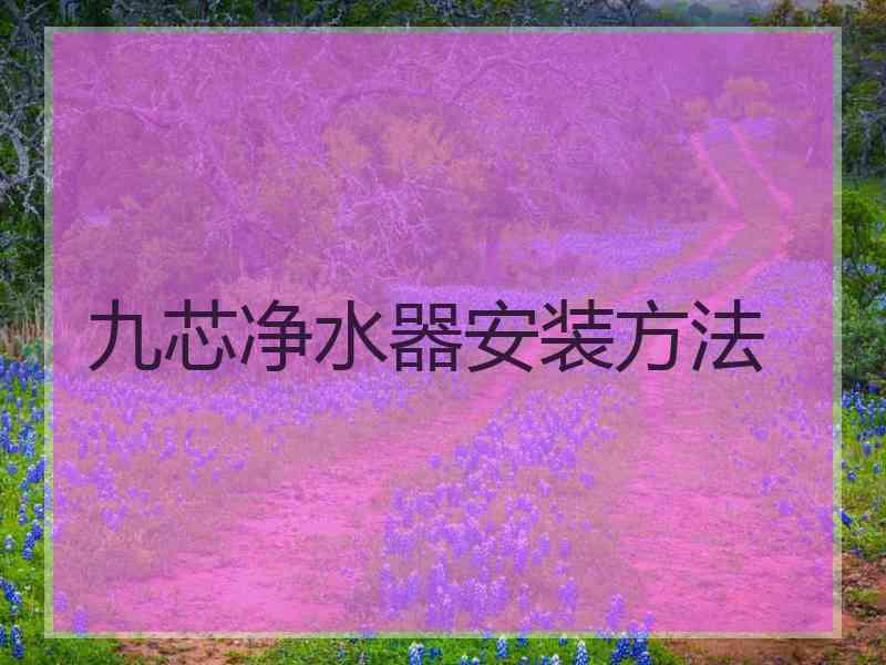 九芯净水器安装方法