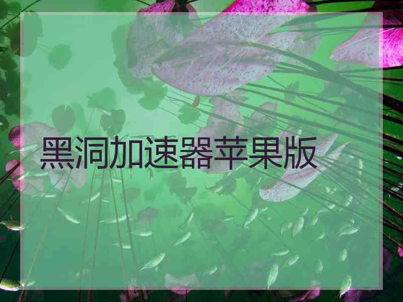 黑洞加速器苹果版