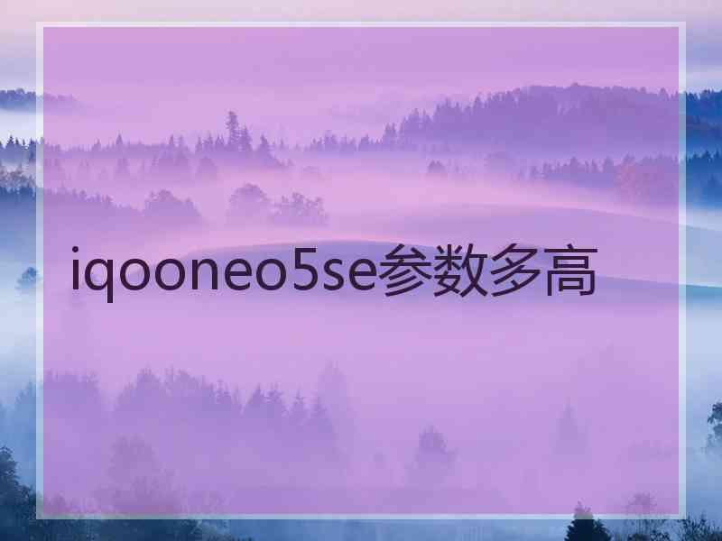 iqooneo5se参数多高