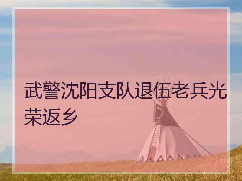 武警沈阳支队退伍老兵光荣返乡