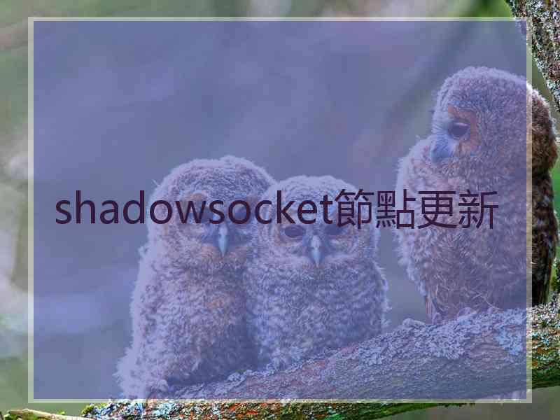 shadowsocket節點更新