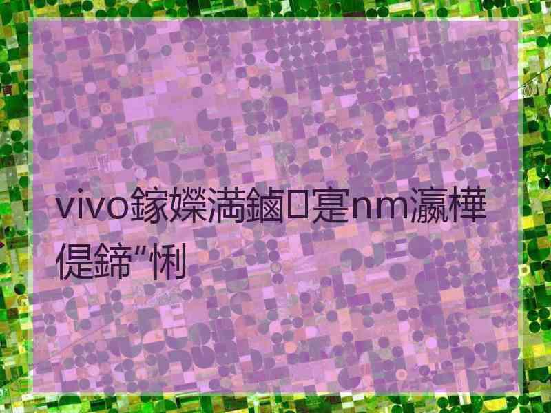 vivo鎵嬫満鏀寔nm瀛樺偍鍗″悧