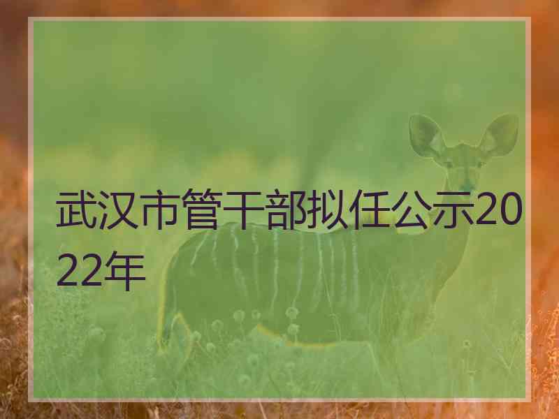 武汉市管干部拟任公示2022年