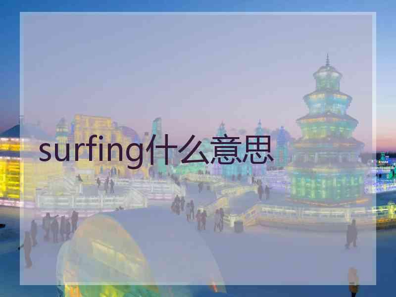 surfing什么意思