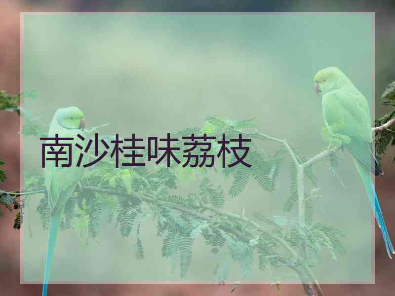 南沙桂味荔枝