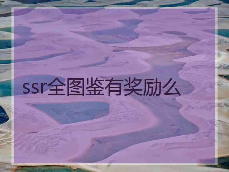 ssr全图鉴有奖励么