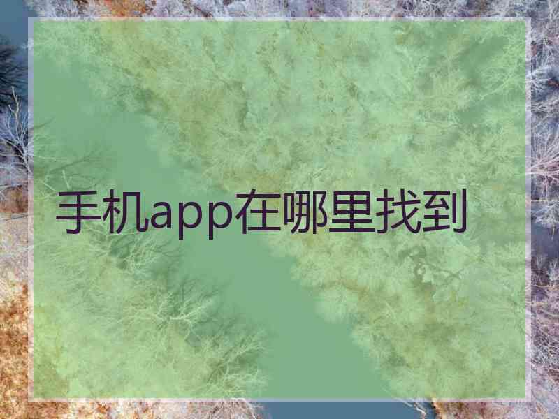 手机app在哪里找到