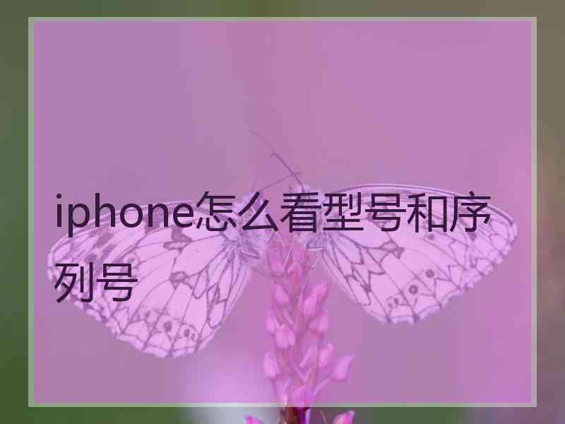 iphone怎么看型号和序列号