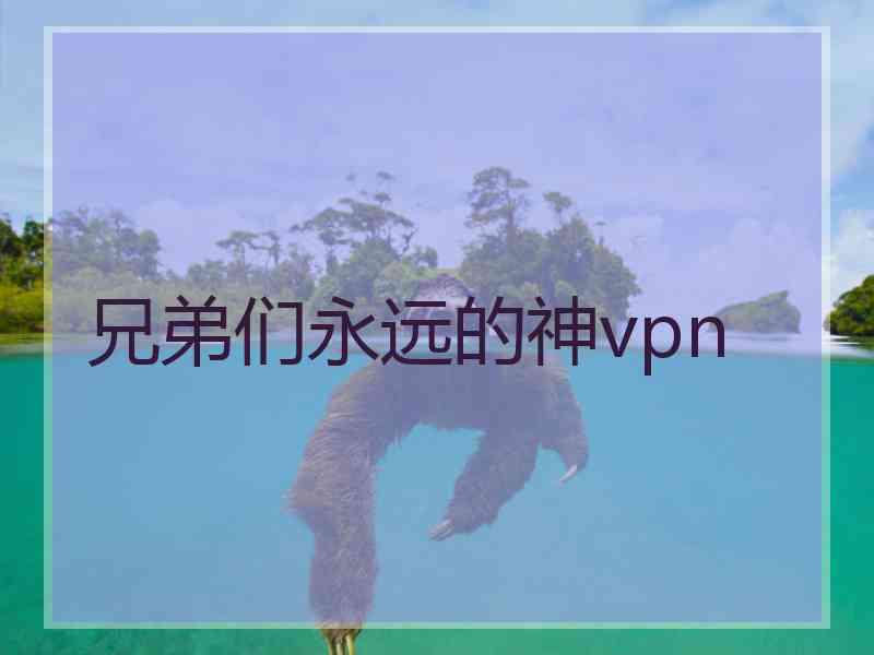 兄弟们永远的神vpn