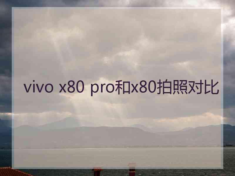 vivo x80 pro和x80拍照对比