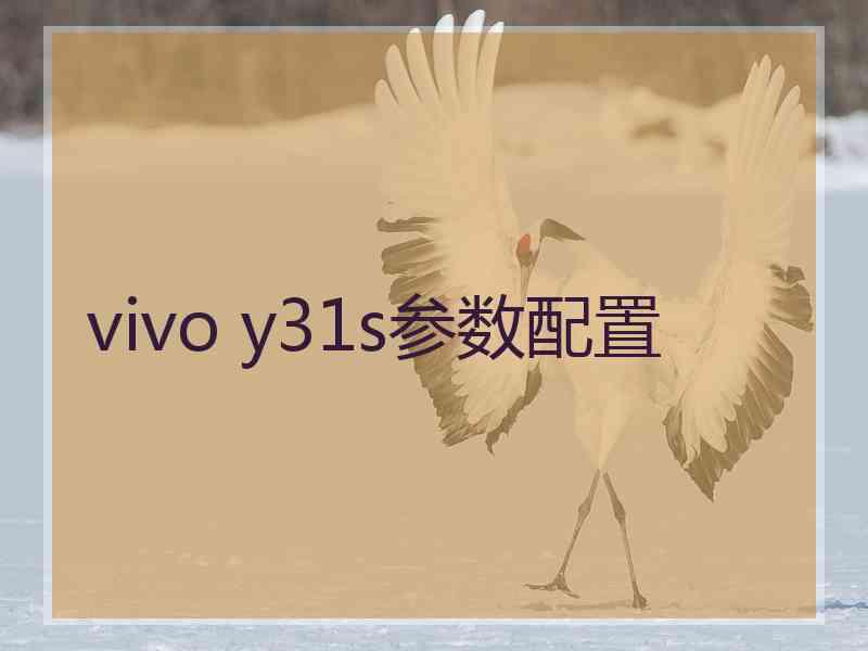 vivo y31s参数配置