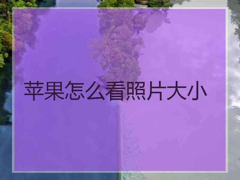 苹果怎么看照片大小