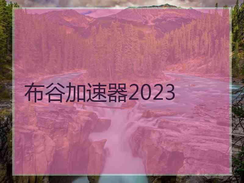 布谷加速器2023