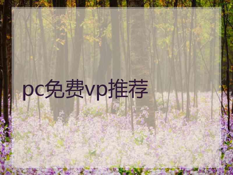 pc免费vp推荐