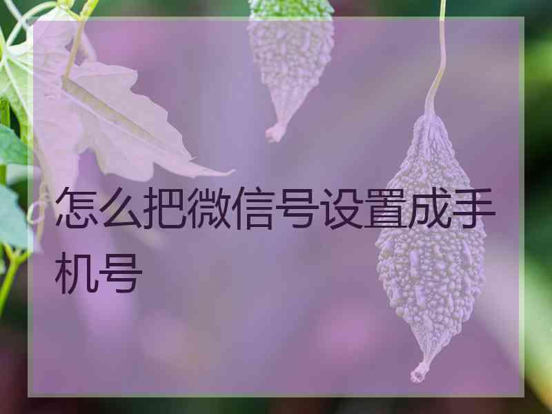 怎么把微信号设置成手机号