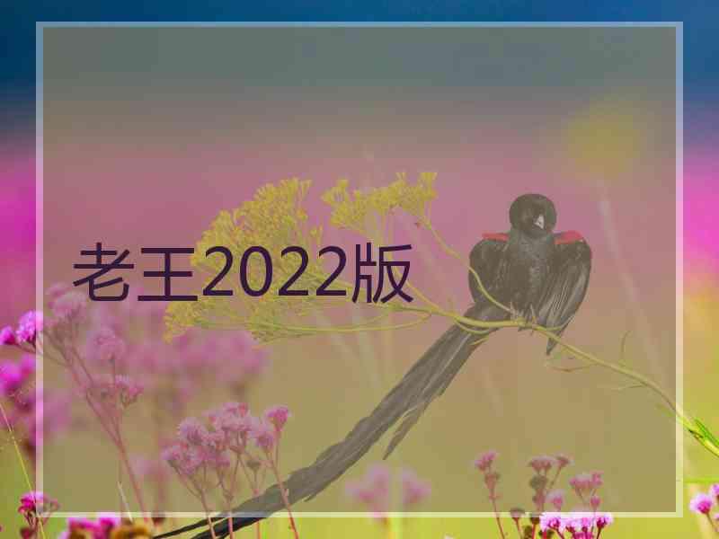 老王2022版