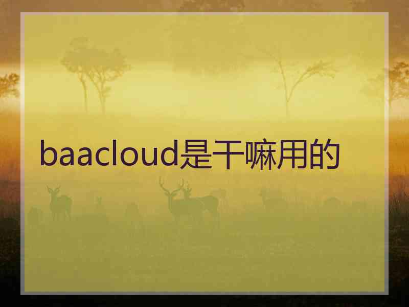 baacloud是干嘛用的