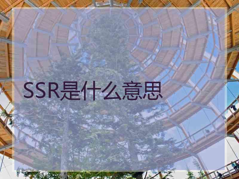 SSR是什么意思