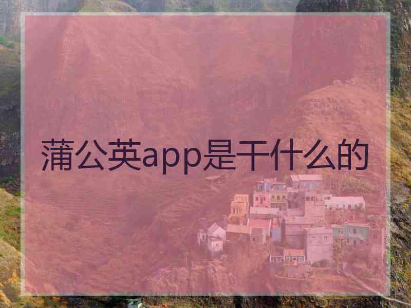 蒲公英app是干什么的