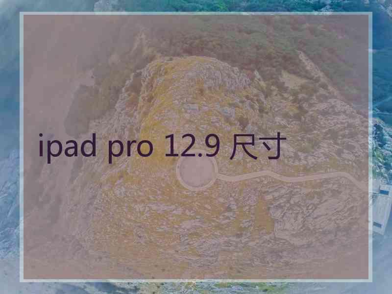 ipad pro 12.9 尺寸