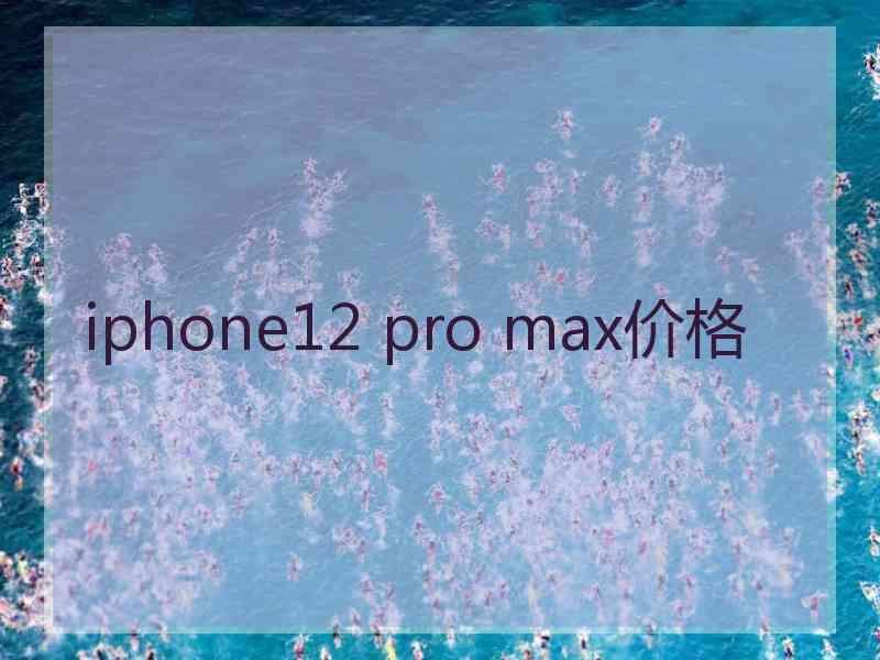 iphone12 pro max价格