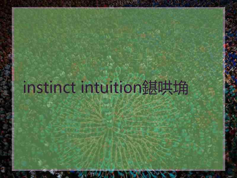 instinct intuition鍖哄埆