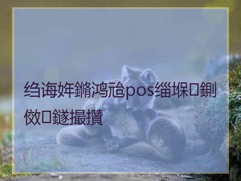 绉诲姩鏅鸿兘pos缁堢鍘傚鐩撮攢