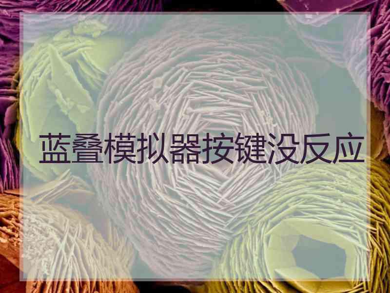 蓝叠模拟器按键没反应