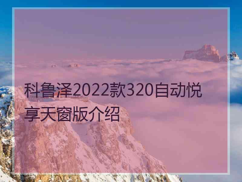 科鲁泽2022款320自动悦享天窗版介绍