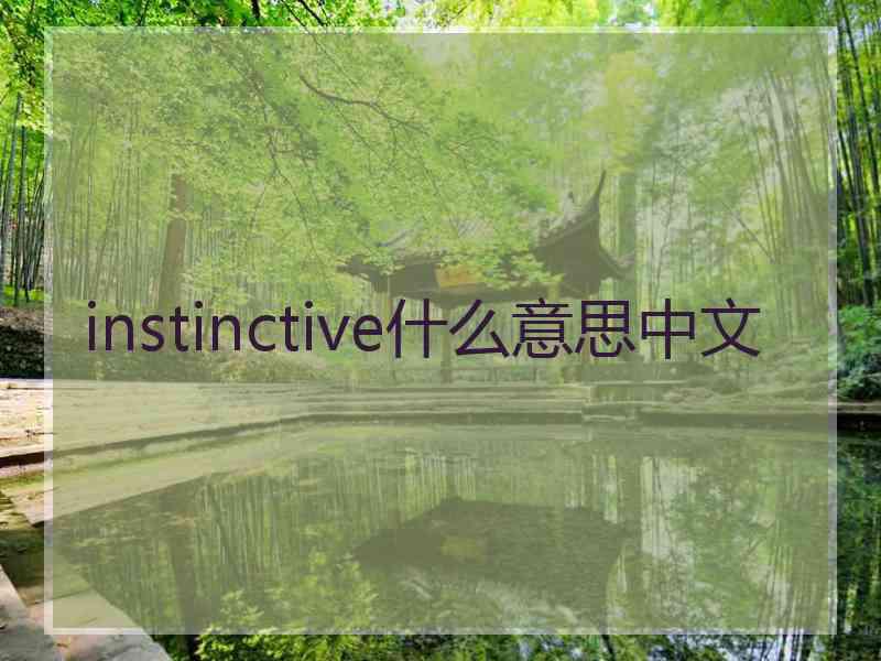 instinctive什么意思中文