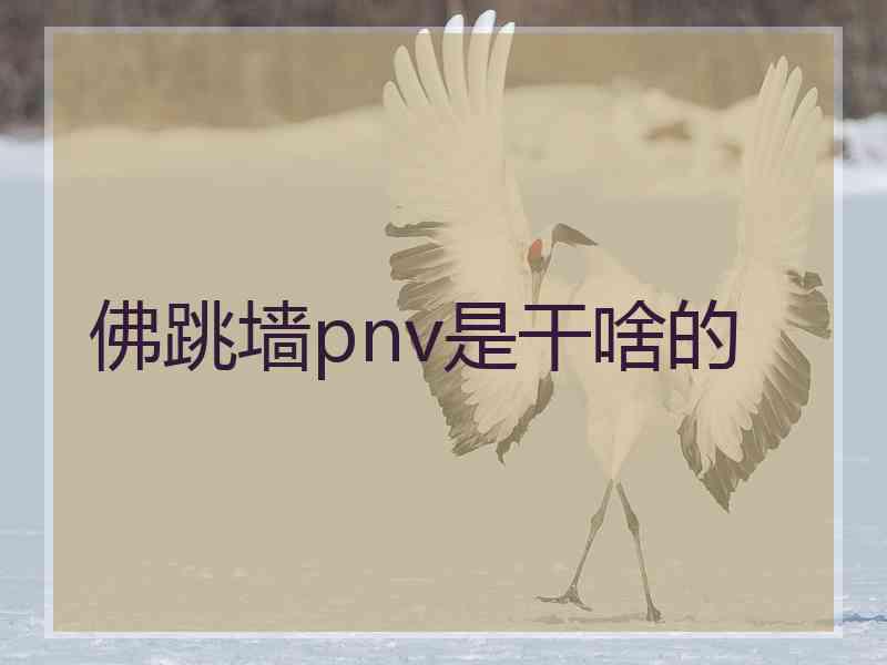 佛跳墙pnv是干啥的