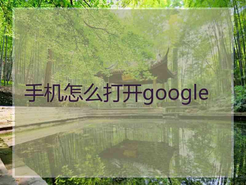 手机怎么打开google