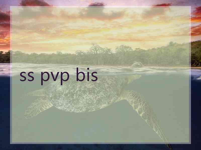 ss pvp bis