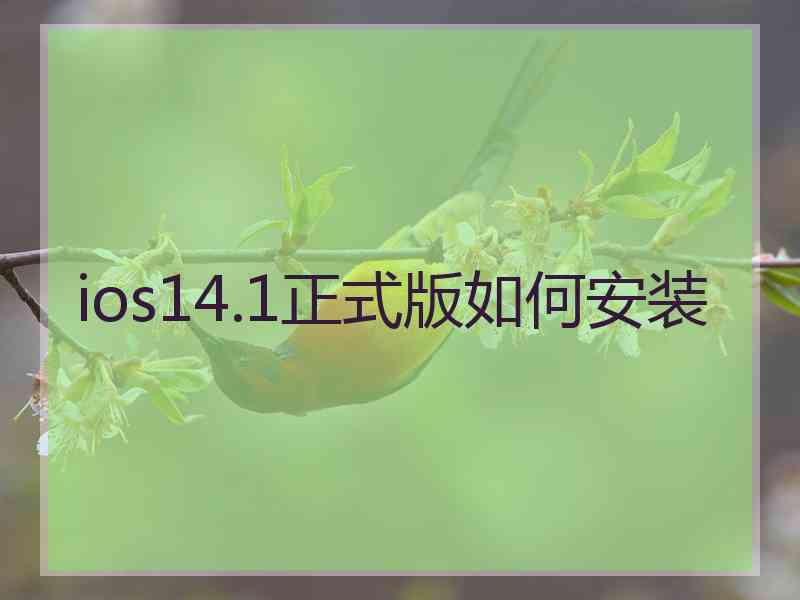 ios14.1正式版如何安装