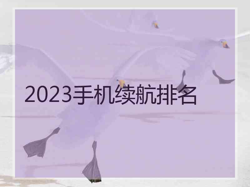 2023手机续航排名